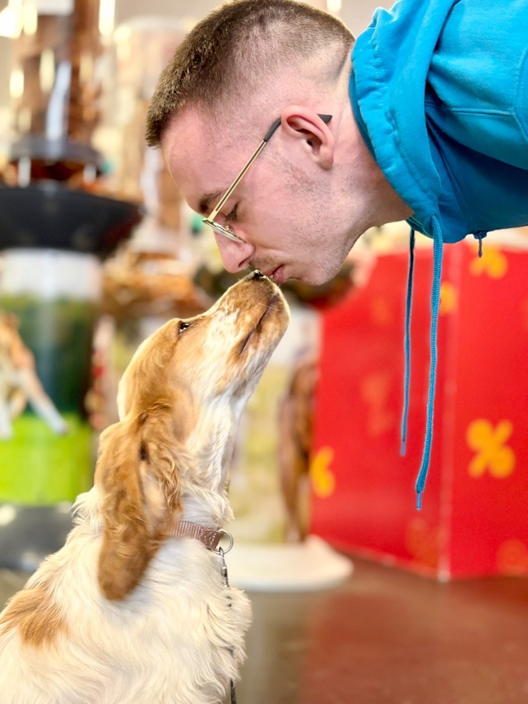 Pas de bébés pour l année 2026